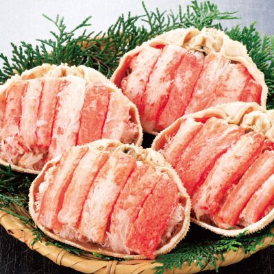 北海道産 ボイル 大ずわいがに甲羅盛り4個