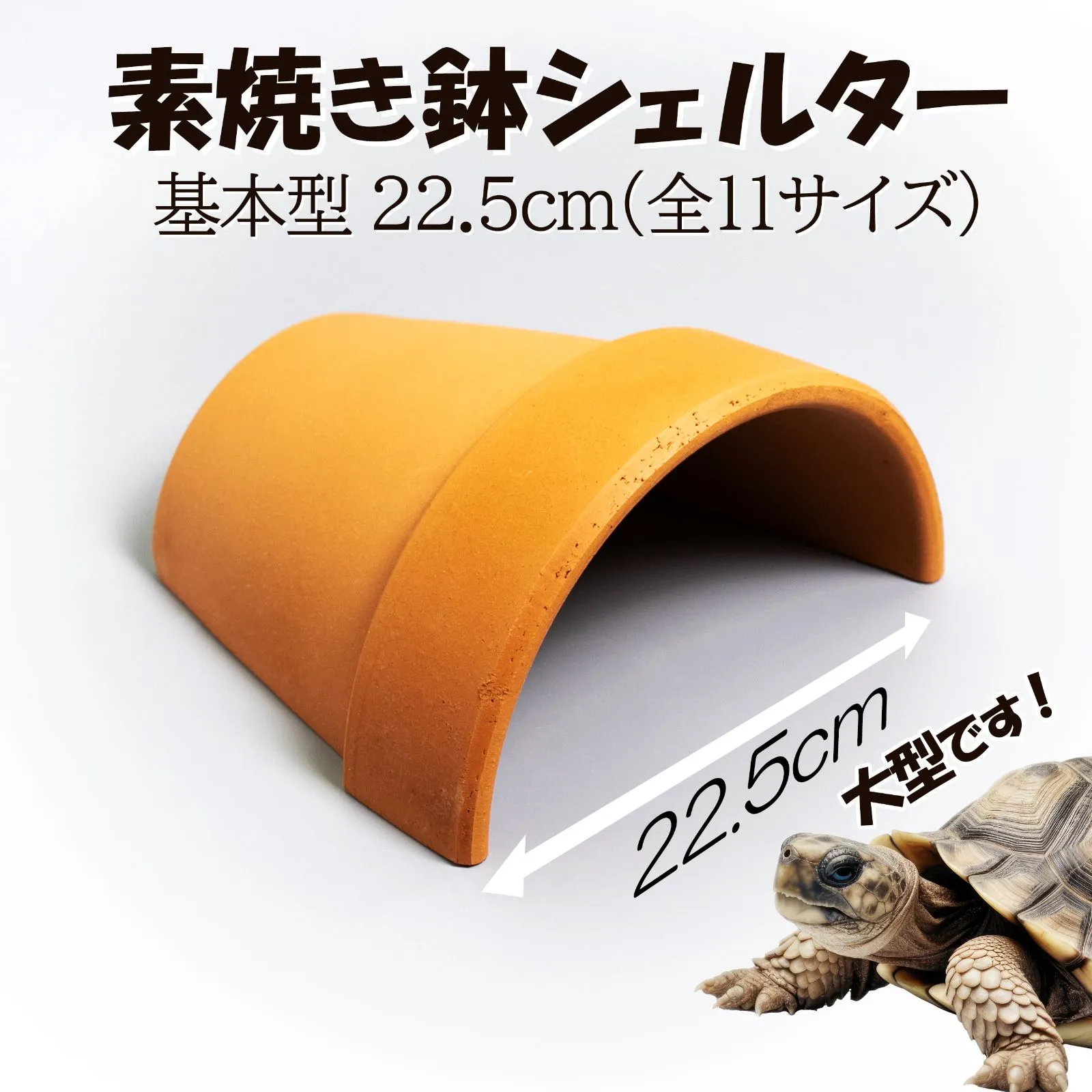 2026年最新】フトアゴヒゲトカゲ シェルターの人気アイテム - メルカリ