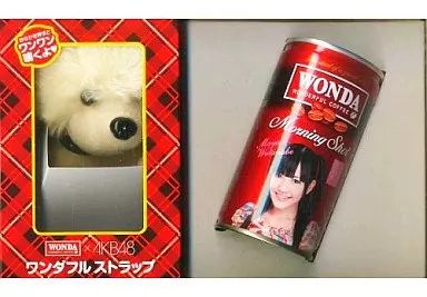 Amazon.co.jp: WANDA×AKB48 開運ワンダフルストラップ9種セット