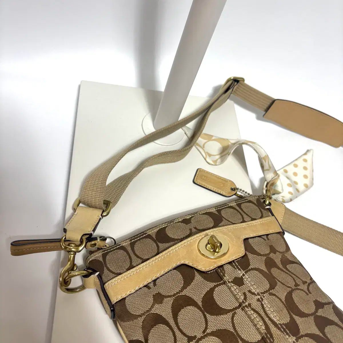 EXO チャニョル キャラクタークロスバッグ COACH crossbody handbag コーチミニ ショルダークロスボディ