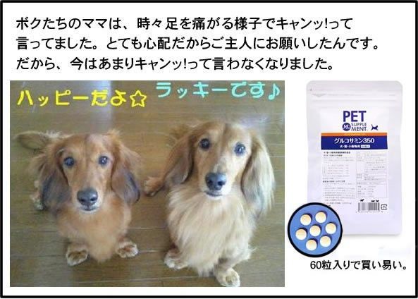 犬用グルコサミン