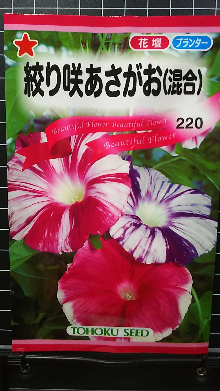 絞り咲 あさがお 混合 朝顔 種 ３袋セット - メルカリ