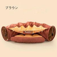 ネコ