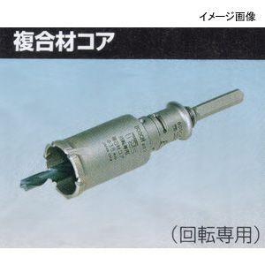 タレ蜜　盛り上げ巣　ニホンミツバチ 食品 タレ蜜 盛り上げ巣 ニホンミツバチ