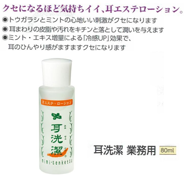 耳洗潔　業務用　８０ｍｌ