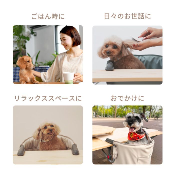 シニア犬 介護