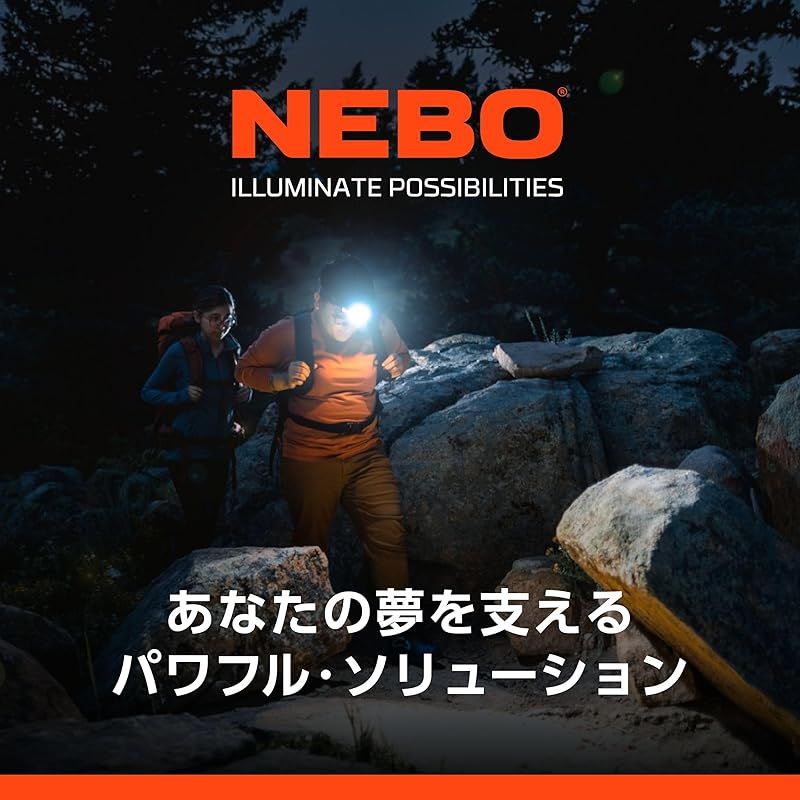 ＮＥＢＯ ＬＥＤライト ＢＩＧ ＬＡＲＲＹ ３ ２２０ルーメン NEB-FLT-1041-G 0