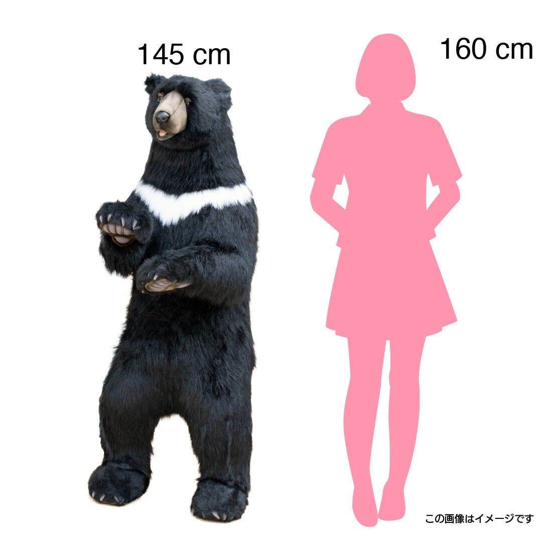 HANSA ツキノワグマ 黒クマ 158 高さ145(cm) 4920 クマ 熊 ベア ベアー