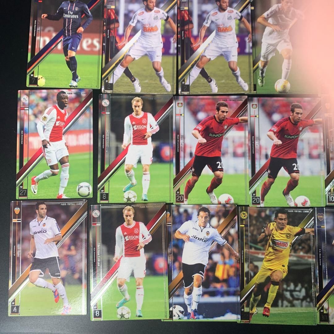 PANINI 2013-2014