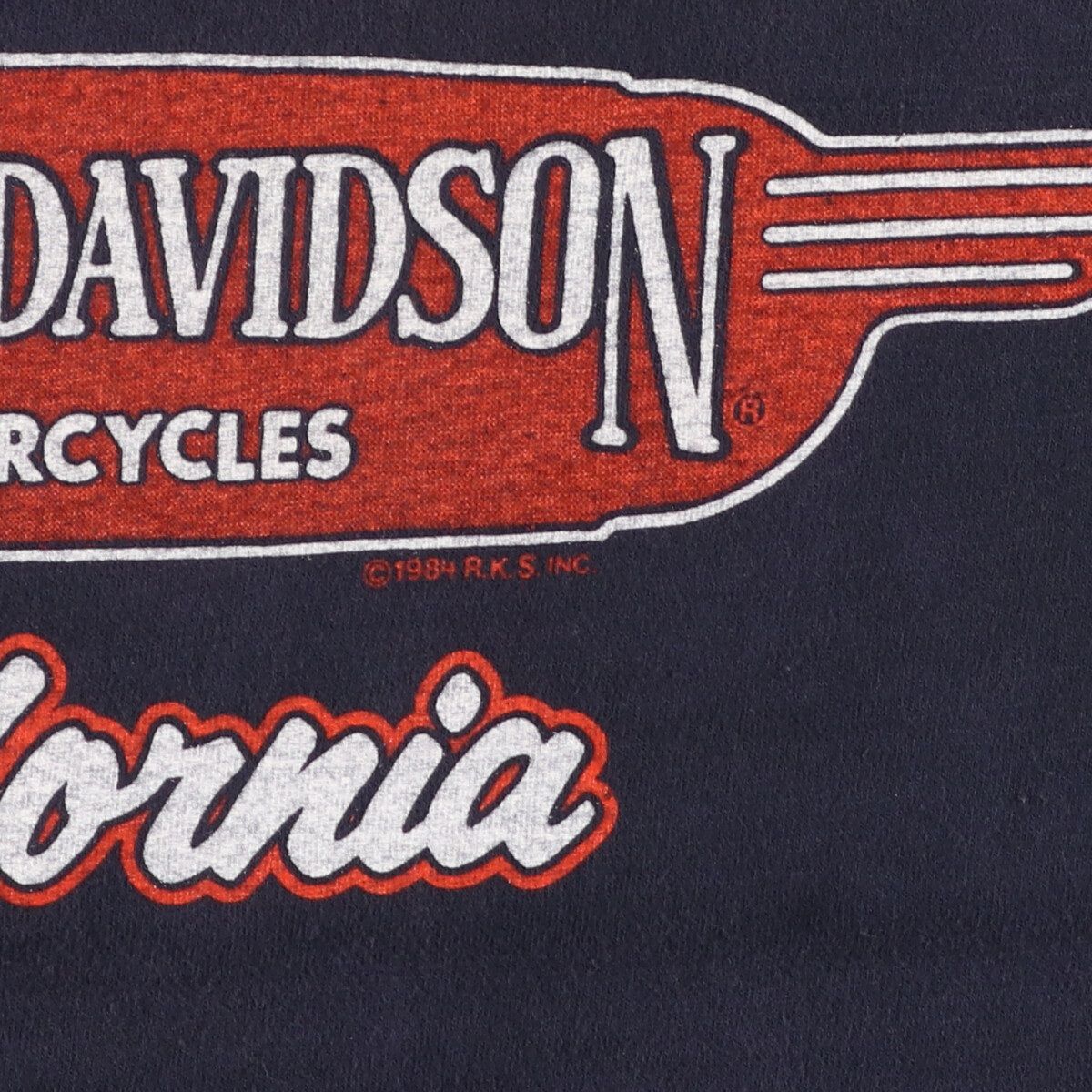 古着 80年代 ハーレーダビッドソン Harley-Davidson Hanes
