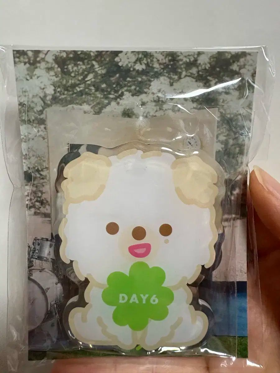 まほあこ アクリルスタンド ぷちちょこ AJ2025 マジアベーゼ