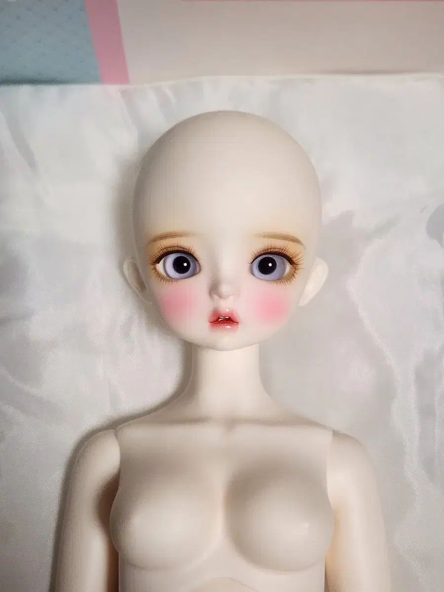 msd ミューズ