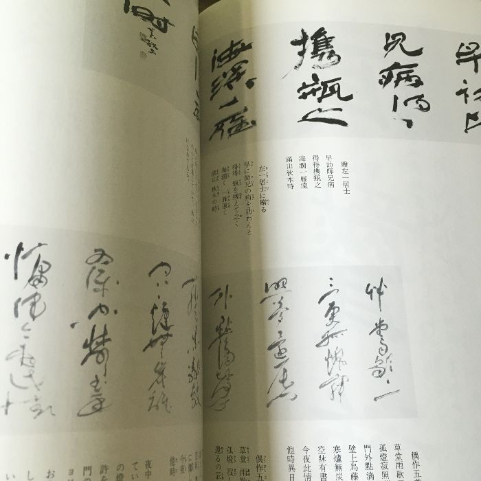 初版本 詩歌書例一〇〇選 (8) 二玄社 古谷 蒼韻 1999年初版 書道 書 墨