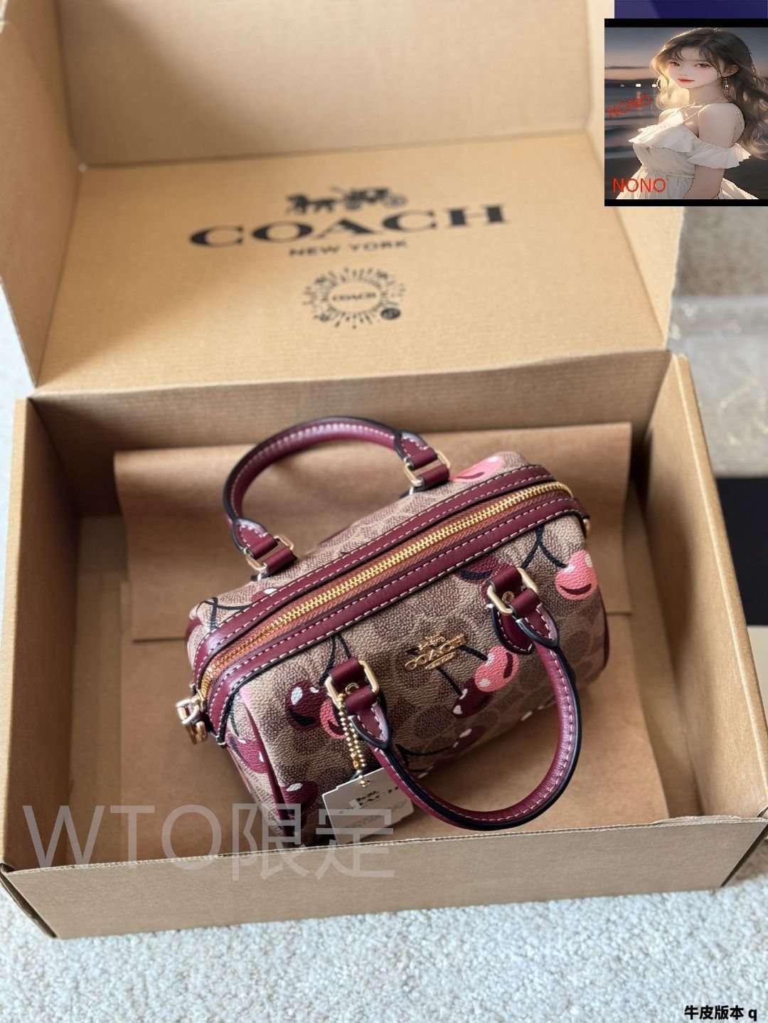 ストロベリープリント【COACH】Teri ショルダーバッグ 2WAY 公式】コーチアウトレット | テリ ショルダー バッグ