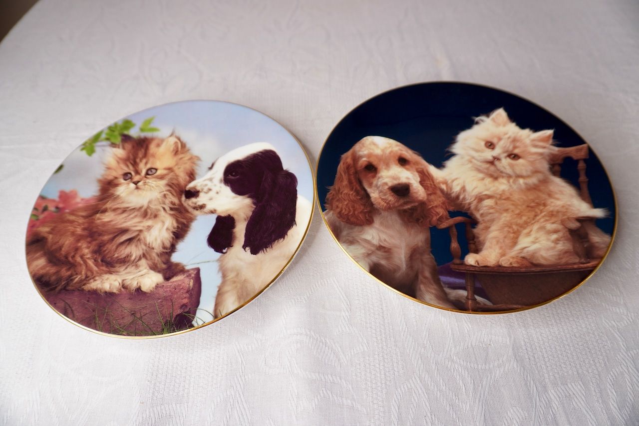 イギリス ヴィンテージ 犬 猫 絵皿 2枚セット コレクションプレート 