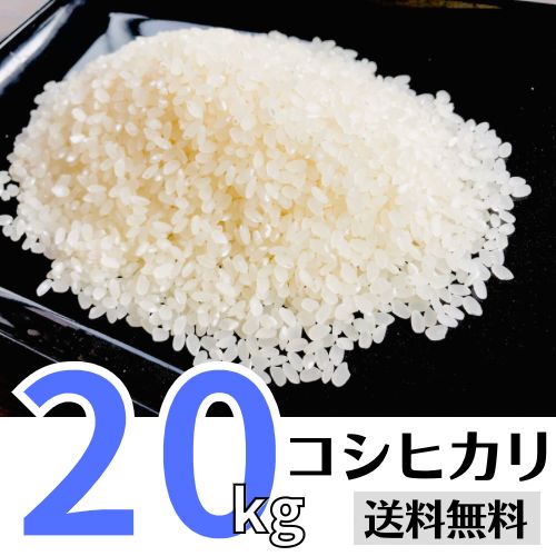 美味しい コシヒカリ20kg