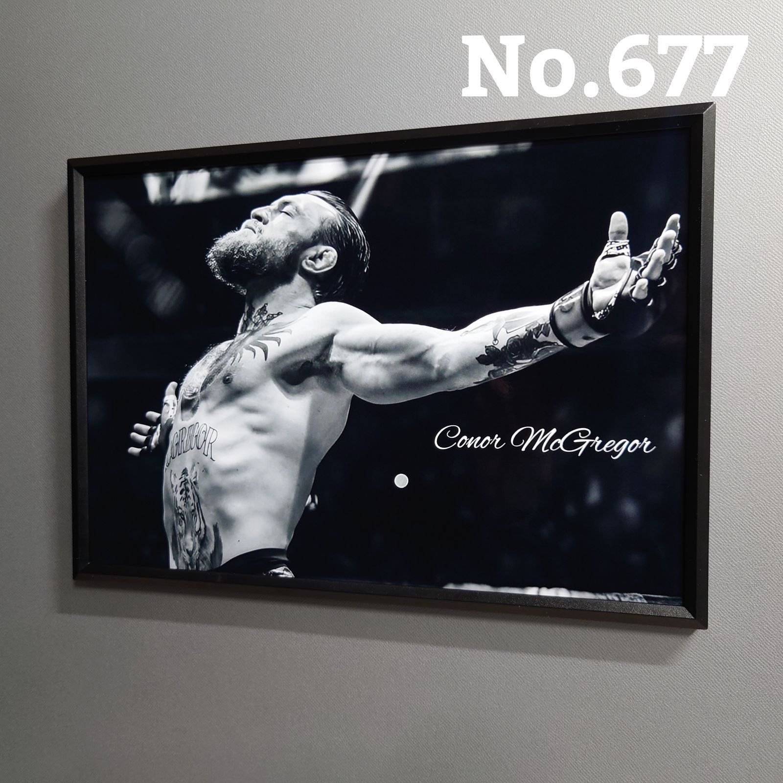 No.677 A4 コナー・マクレガー ポスター 写真 アート スポーツ 格闘技