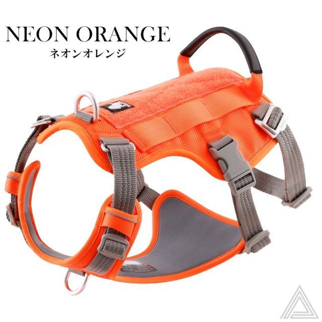 かわいい カラフル