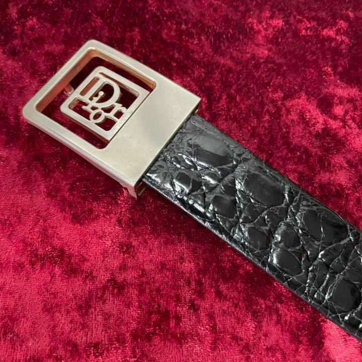 クリスチャンディオール レディディオール クロコダイル 2WAY