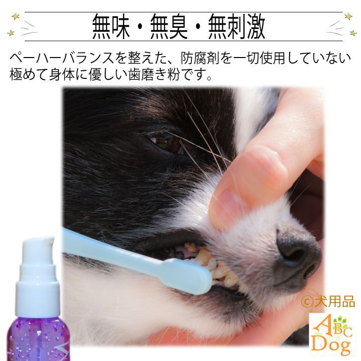 ペースト