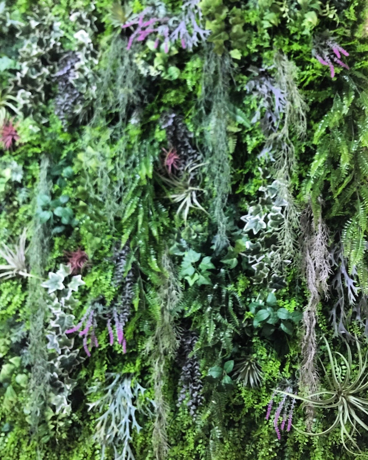 大型ウォールグリーン 壁掛け 壁面緑化 造花 観葉植物 - メルカリ