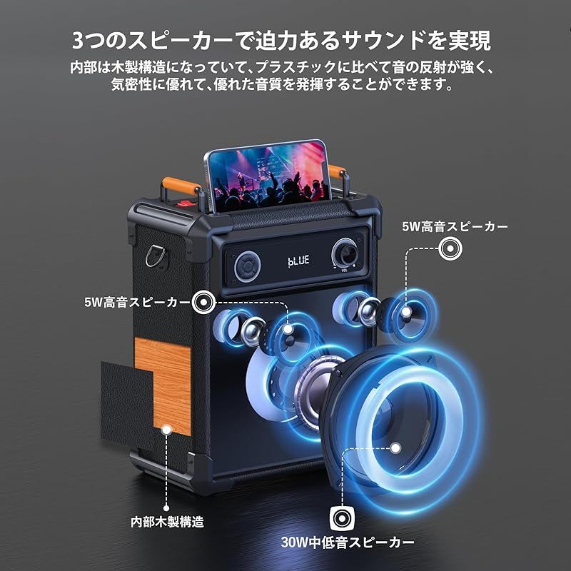 販売 カラオケセット家庭用 BIGASUO ワイヤレスマイク スピーカー