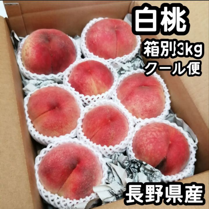  だて白桃 もも 桃 フルーツ 果物 長野県産