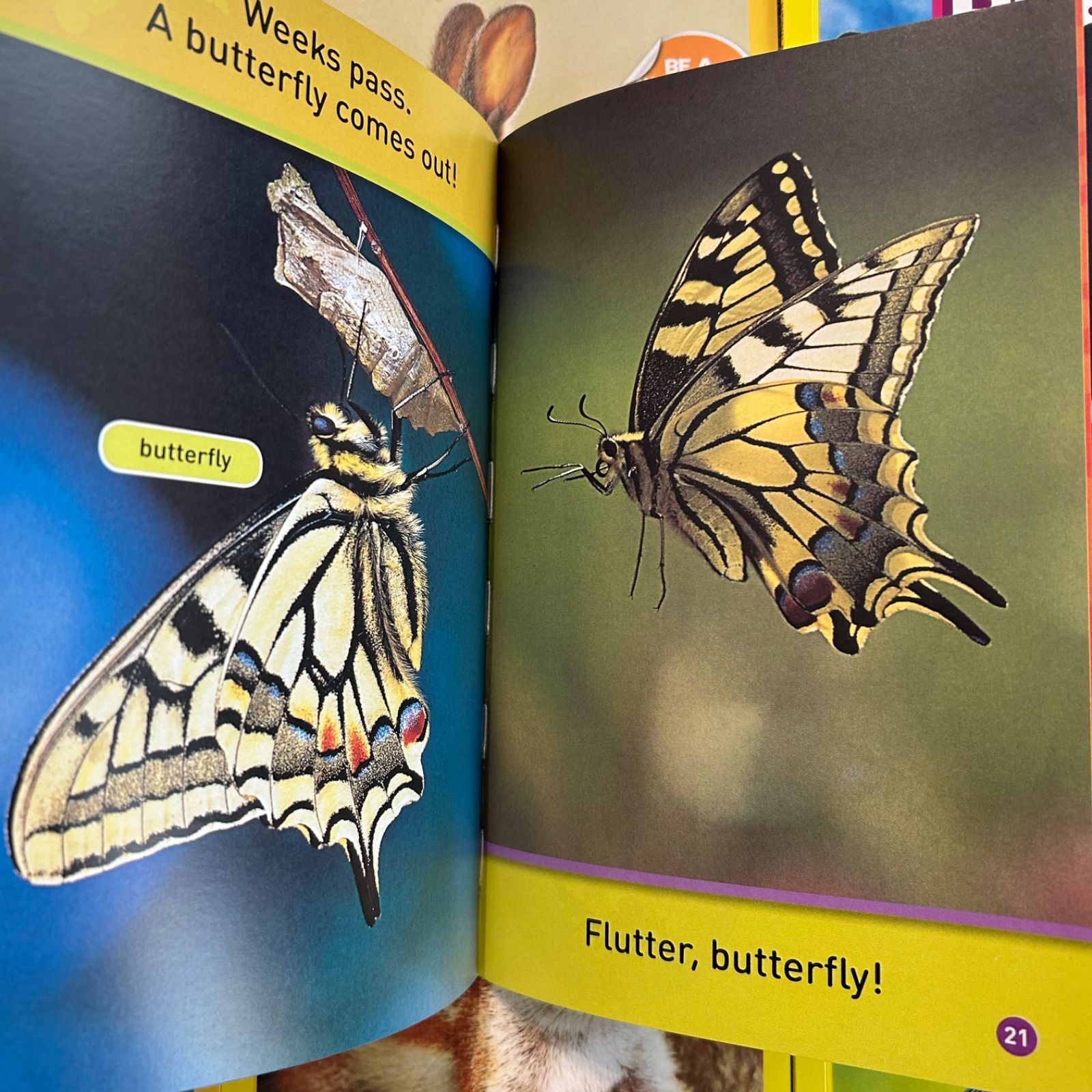 National Geographic Kids 155冊 マイヤペン対応 National Geographic Kids 155冊 マイヤペン対応 - メルカリ