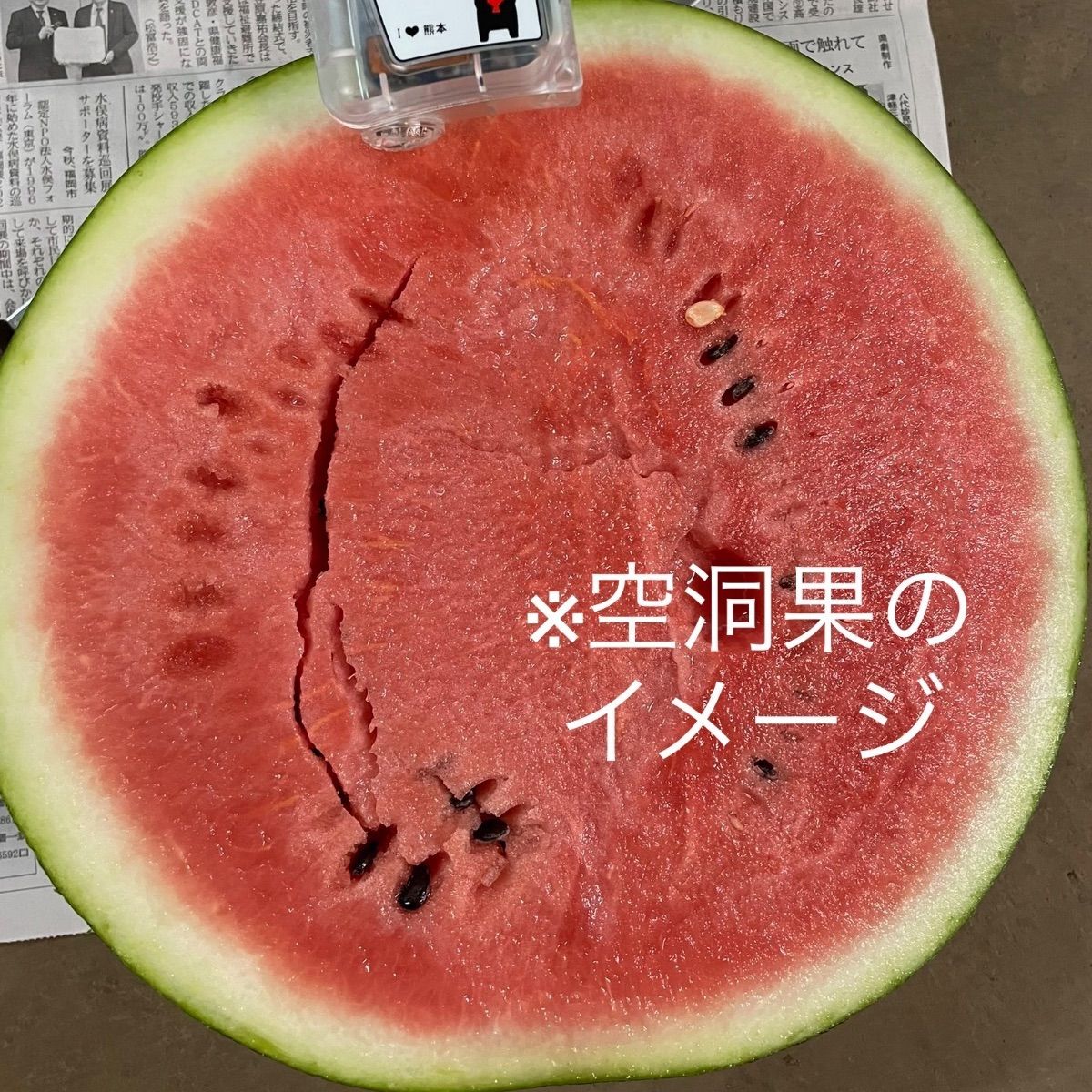 熊本県菊池産 西瓜