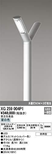 5営業日で発送 ODELIC オーデリック LED街路灯 XG259004P1