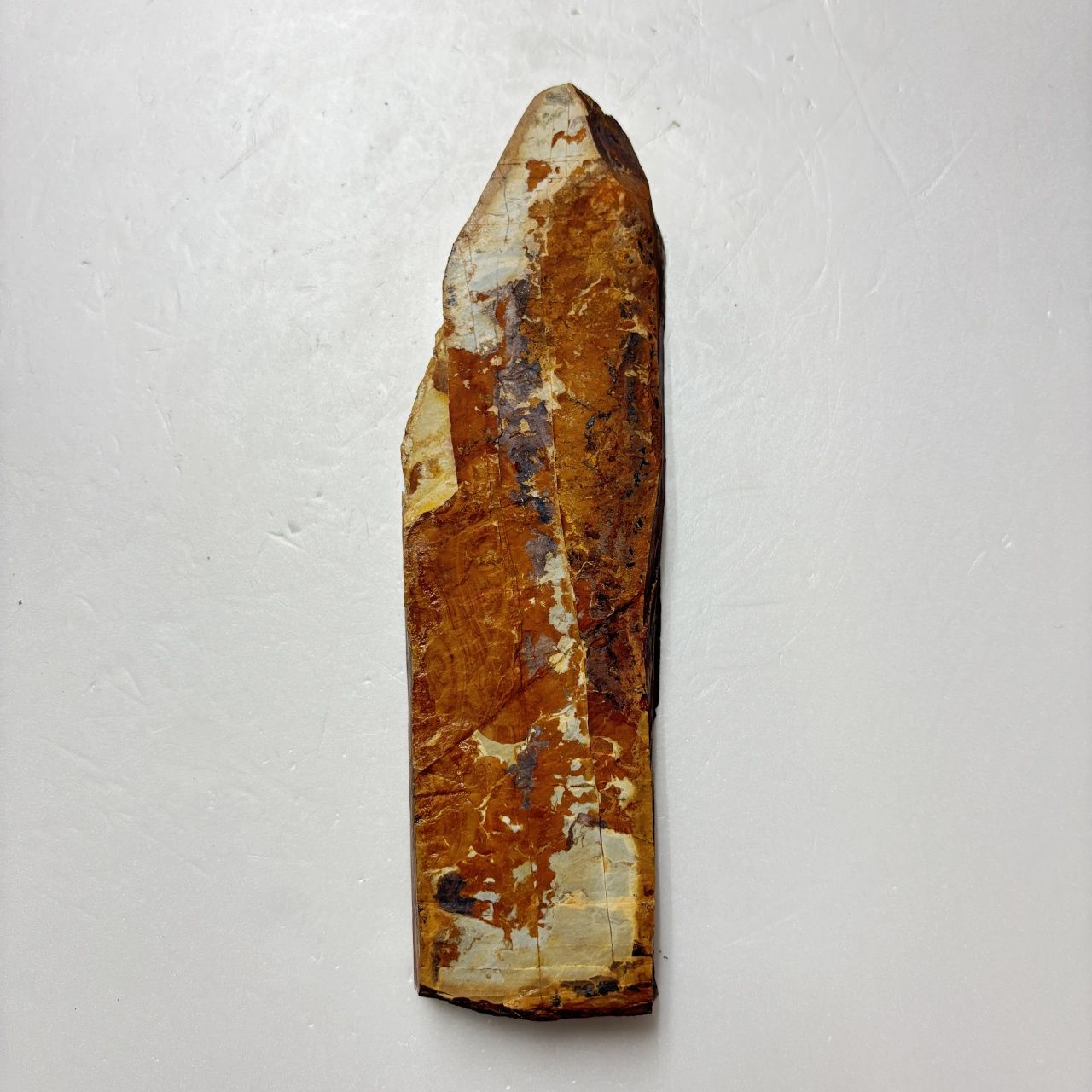 カラス 中山合砥