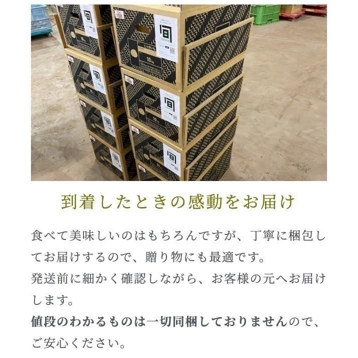 メルかりん5キロ パイロットインキ メルちゃん きせかえセット ピンクのレイン
