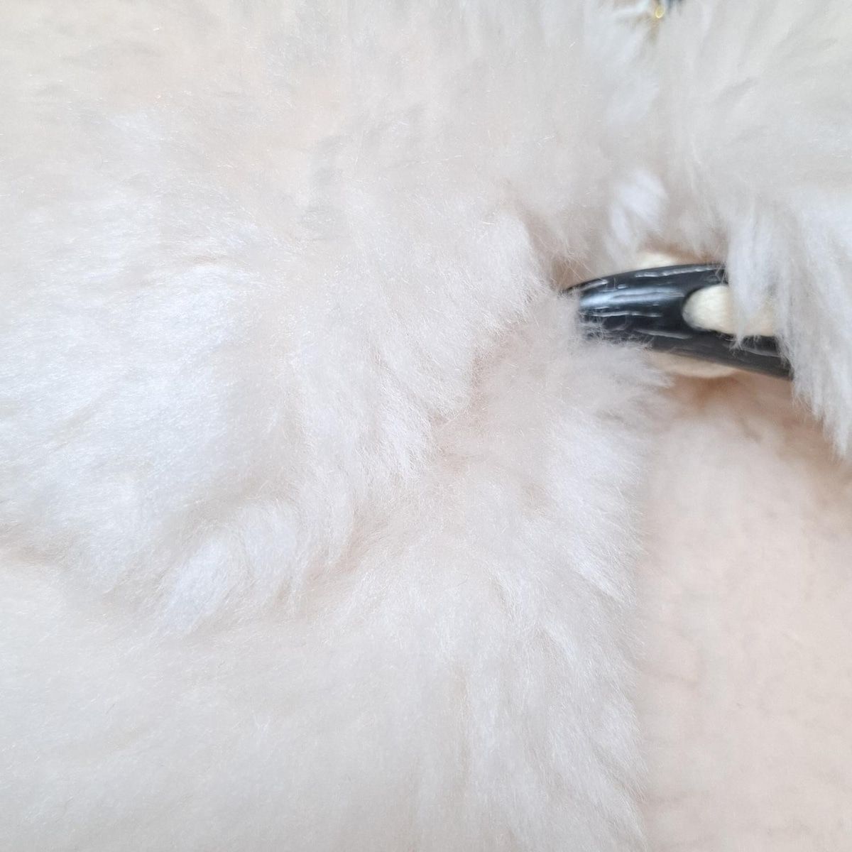 グレースクラス