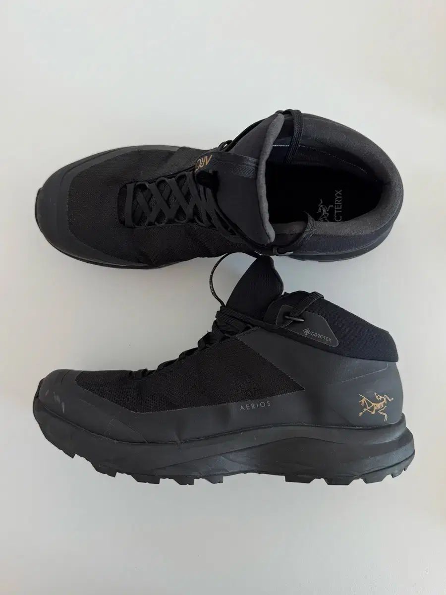 US8 260mm ARC TERYX アークテリクス エリア FL 2 MID GTX