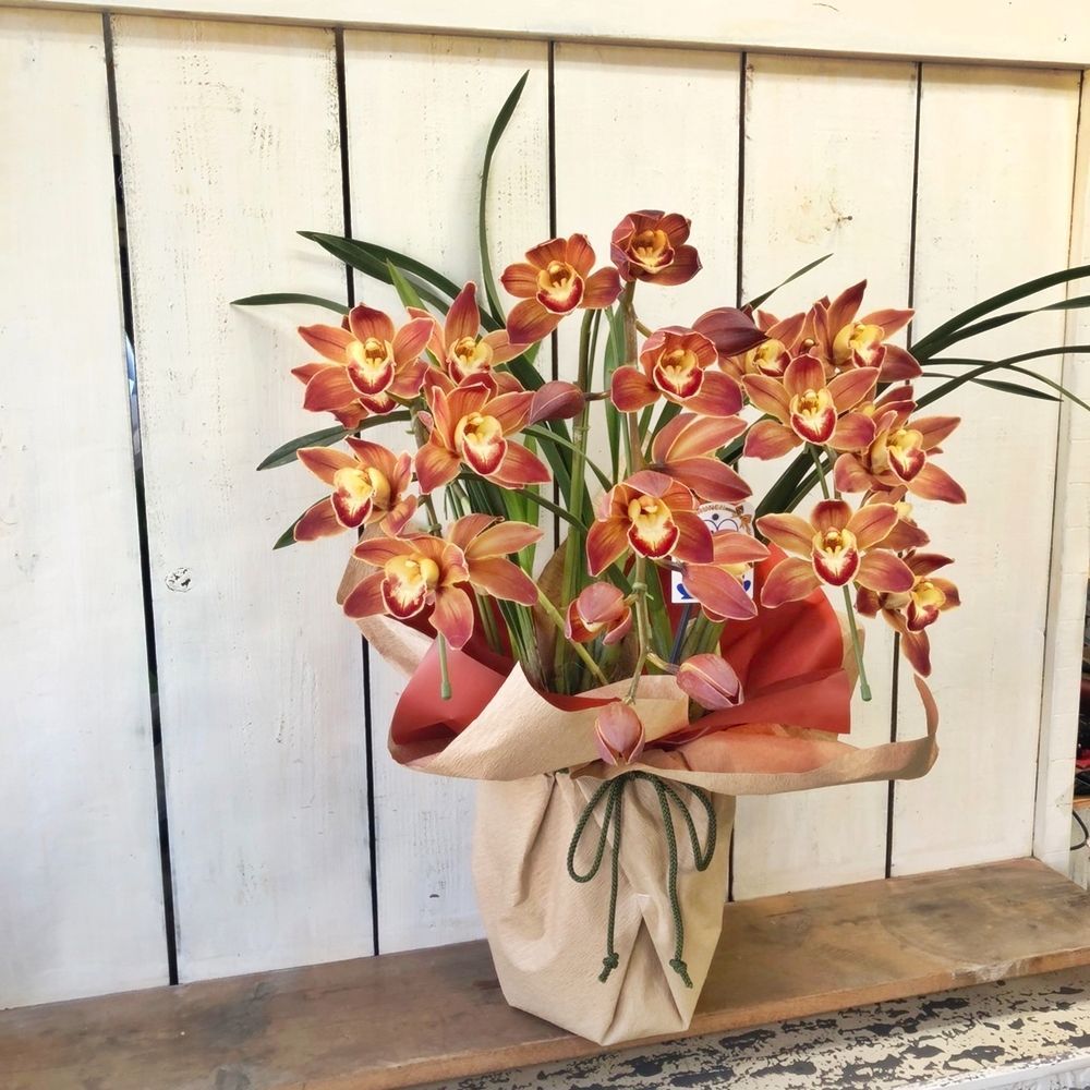 アーチ仕立て3本立ちシンビジュームオレンジ