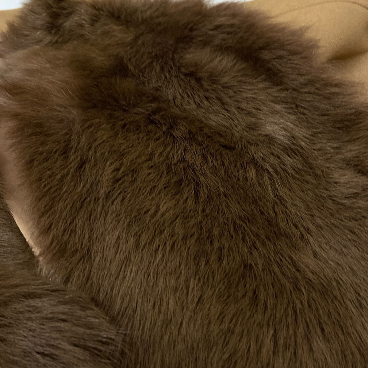 コート サイズF