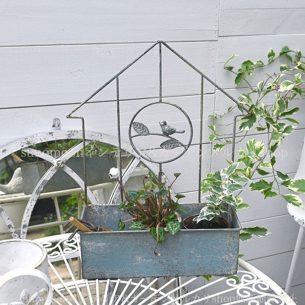 鉢植え 寄せ植え