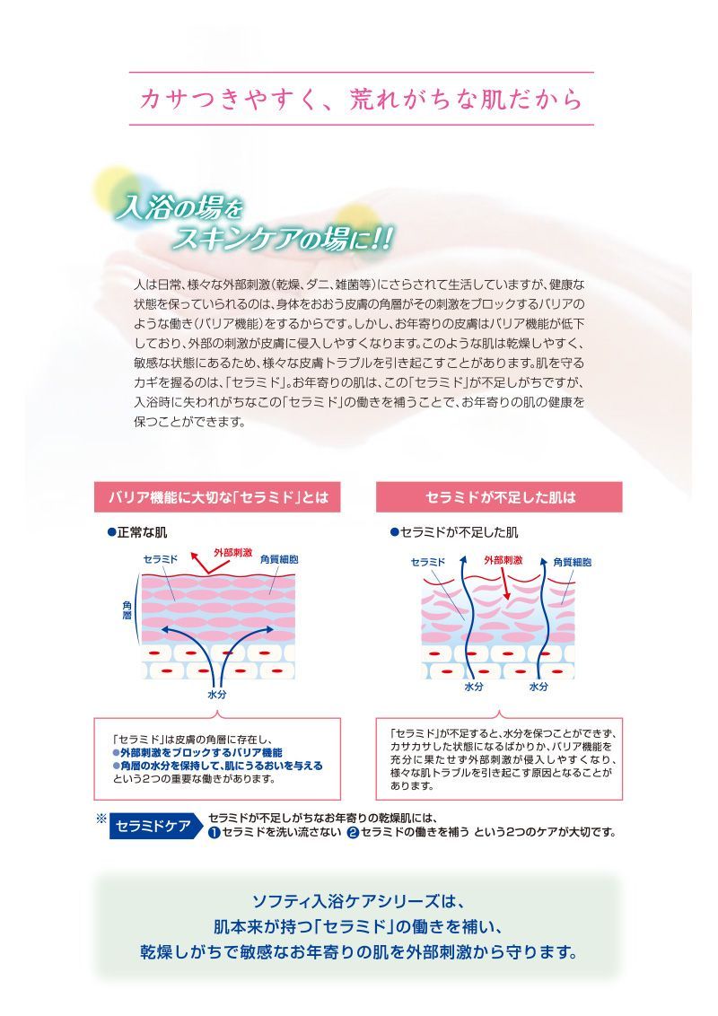 × 12本