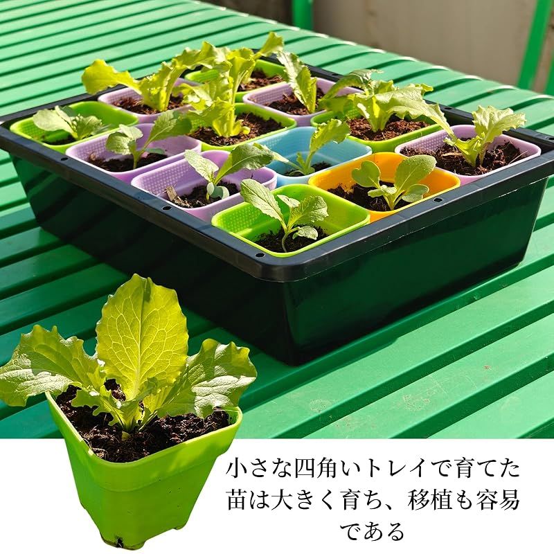 BeGrit育苗ポット 60個入 植物トレー 5色 多肉植物育苗トレー