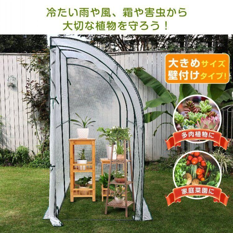 観葉植物 家庭菜園