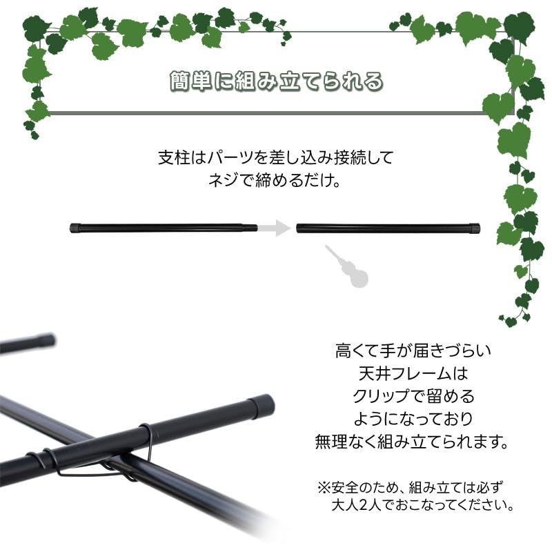 Out フルーツパーゴラ