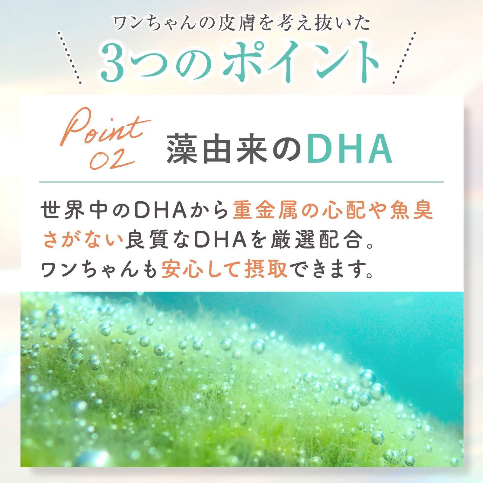 3袋セットMOREMOTTO 乳酸菌＆DHAふりかけサプリfuricoフリコ