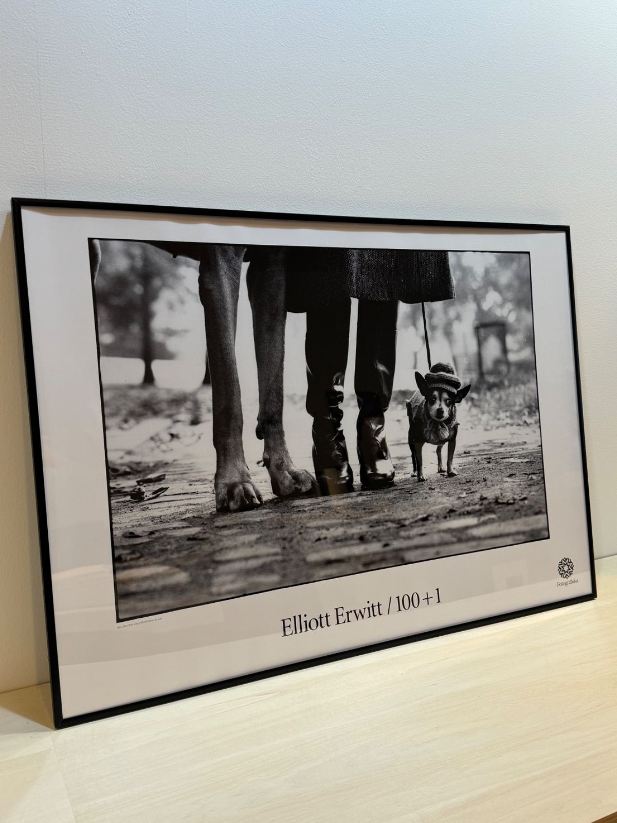 エリオット・アーウィット のポスター ElliottErwitt