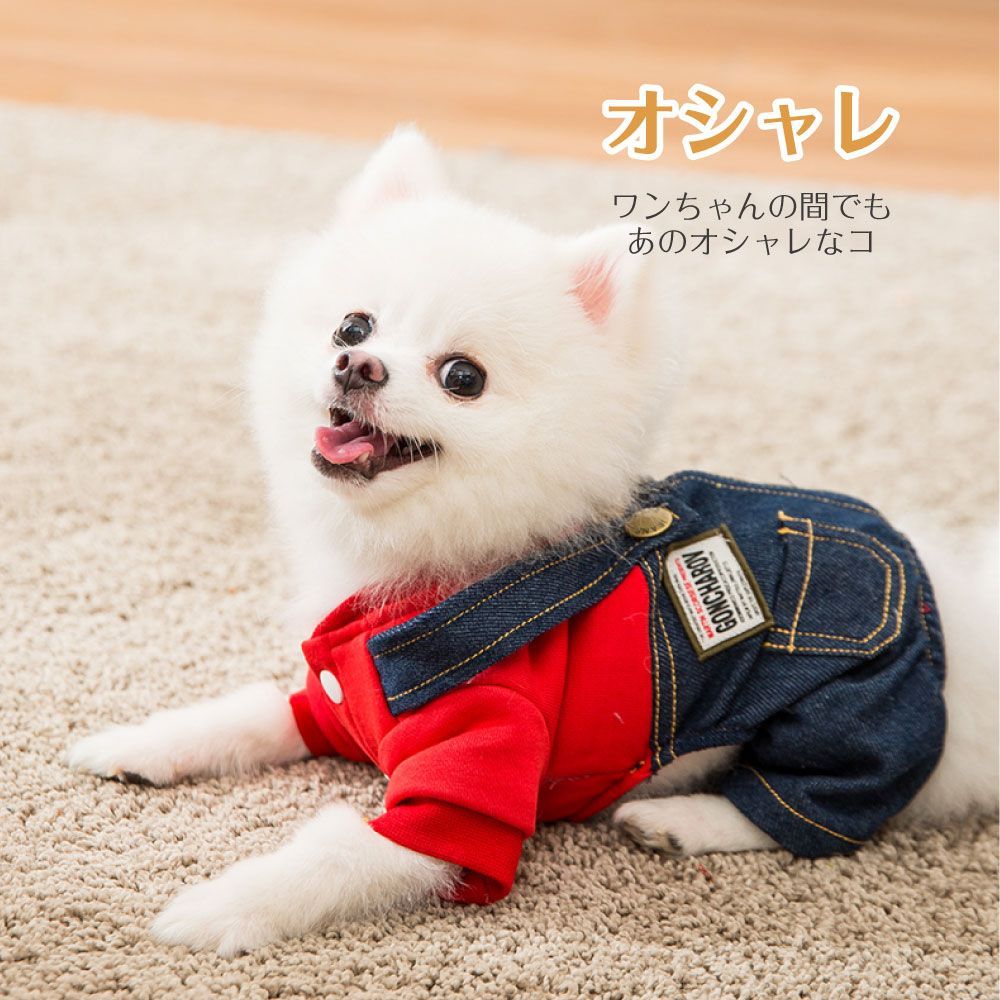 犬 販売 冬服 f