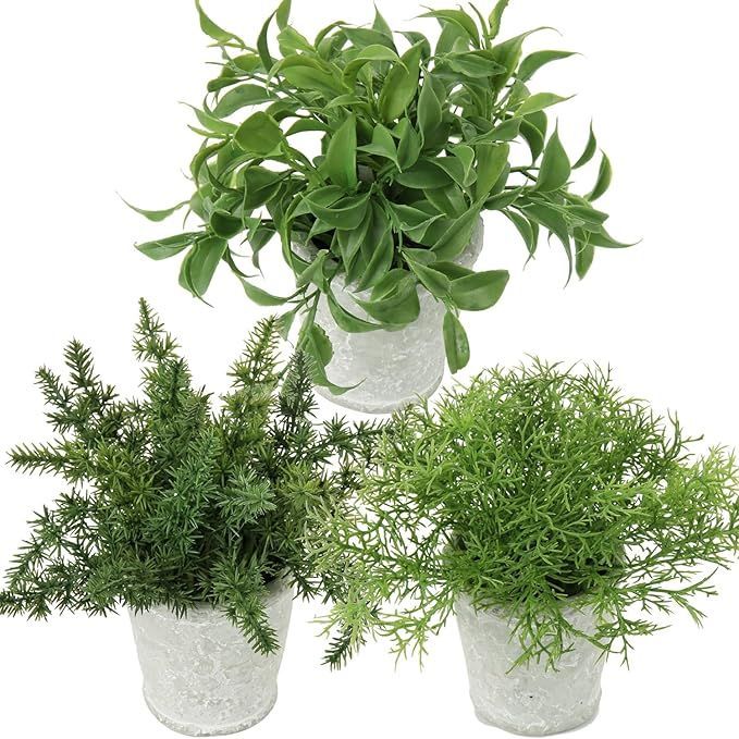 【在庫処分】Villa Como インテリア グリーン フェイクグリーン 人工 観葉植物 フェイク 卓上 鉢植え 造花 テーブルデコレーション エアプランツ かわいい おしゃれ ギフト ３点セット (3， グ