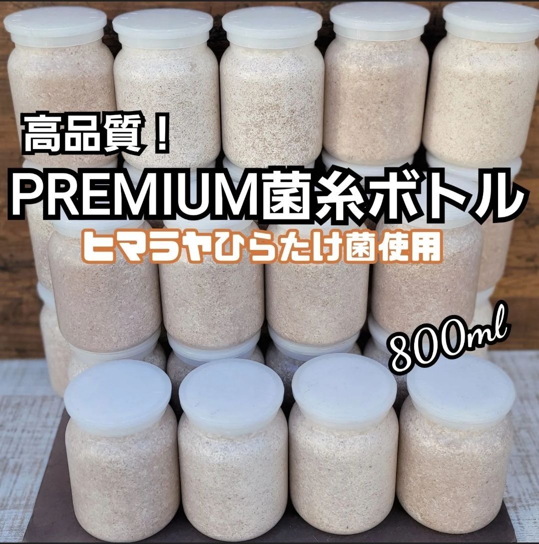 極上！ヒマラヤひらたけ菌糸瓶 800ml【10本セット】ニジイロクワガタに