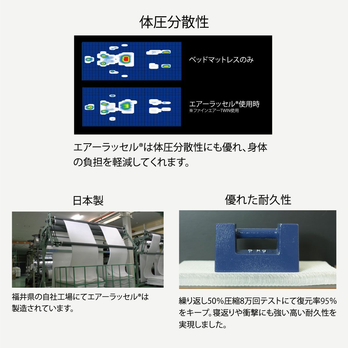 Lサイズ