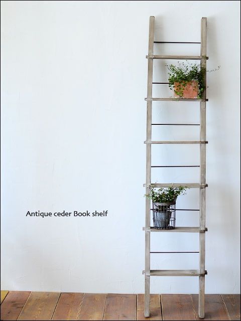 美品 ブックシェルフ アンティークシダー ラダー 高さ約168cm 幅約33cm