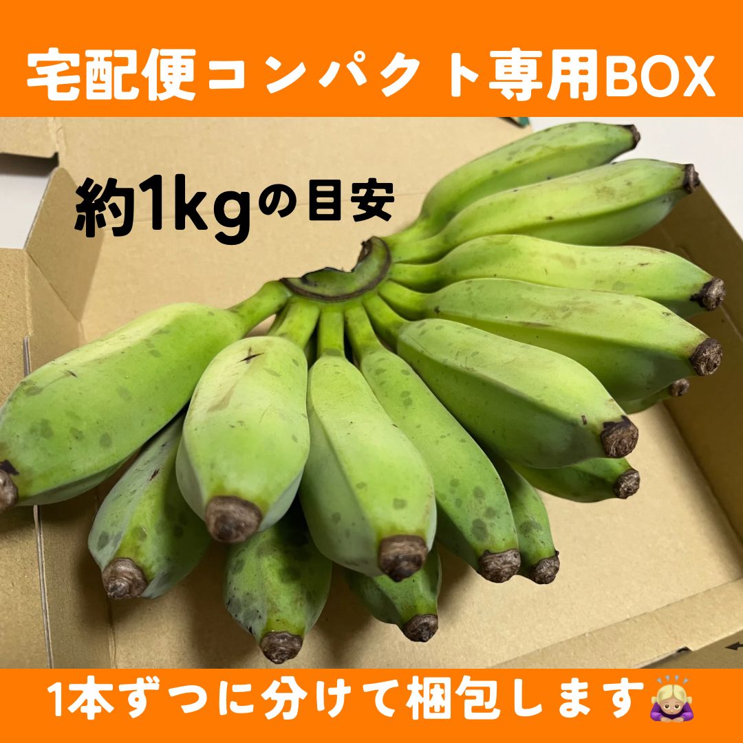 大人気！沖縄県産 アップルバナナ 無農薬 1kg