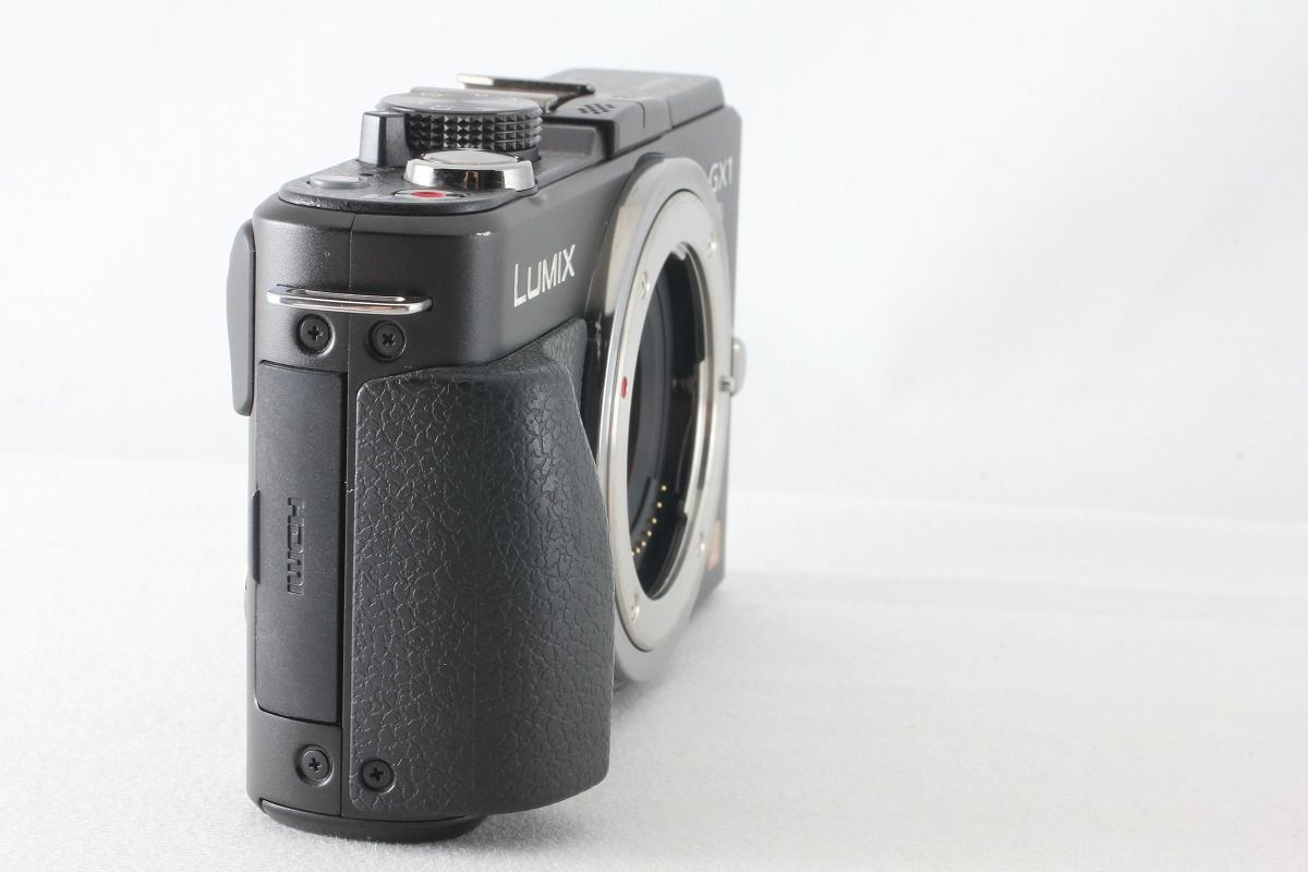 LUMIX DMC-GX1